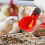 Chicken Drinking Cup 50 Pieces Automatic Drinker Drinker Red Plastic Duck Bird Quail  Hen Drinker Bowl 8