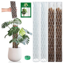 Tuteur en Mousse Monstera pour Plantes Grimpantes, Compatible avec la Mousse de Sphaigne, 40 cm (16 Pouces), Support pour Plantes D'Intérieur