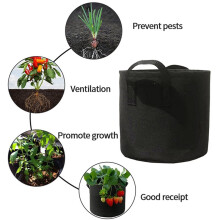 5 Bolsas de Cultivo para Verduras/Flores/Plantas de 10 Galones, Bolsas de Cultivo de Tela No Tejida Gruesa, Macetas de Tela Aireada con Asas