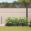 VidaXL vidaXL Garden Planter 4 pcs Brown Plastic 3