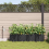 VidaXL vidaXL Garden Planter 4 pcs Black Plastic 3