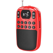 Neues Tragbares Taschenradio mit FM-Radio, Digitalem Empfänger, HD-Display, -Lautsprecher, Kabellosem MP3-Musikplayer und
