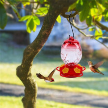 Feeders for Outdoors Hanging, Hand Blown Glass Feeder 15 Oz Sealed and Leak with Feeder