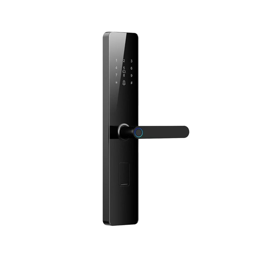 Tt Lock Fingerprint Lock Electric Door Lock With Mirror App Remote Control Access Methods Rfid Card Key Lock 6034263351320