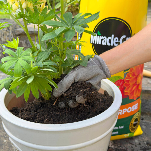 Miracle-Gro Miracle-Gro Premium All Purpose Compost, PEAT FREE, 40 Litre 2