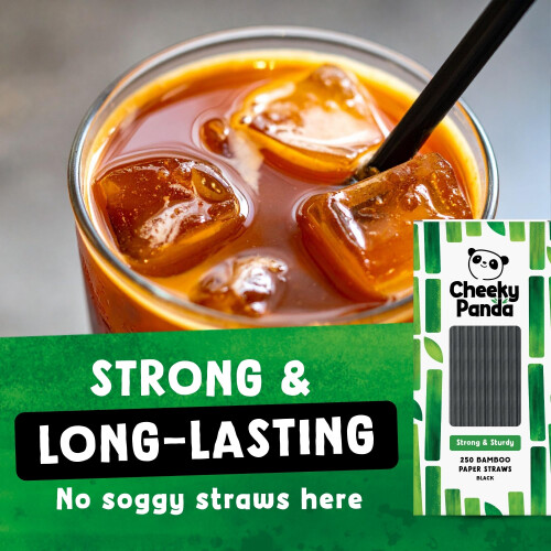 The Cheeky Panda The Cheeky Panda Bamboo Paper Straws 1