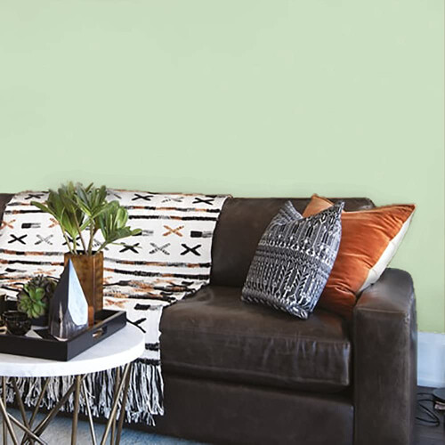 Johnstone's Johnstones  Wall  Ceiling Paint  Natural Sage  Matt Finish  Emulsion P 2