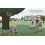 David Attenborough (34) (Little People, BIG DREAMS) 5