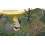 David Attenborough (34) (Little People, BIG DREAMS) 6