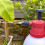 Spear & Jackson Spear & Jackson 2LPAPS 2 Litre Pump Action Pressure Sprayer 5