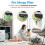 Levoit Levoit Core 300RFPA Genuine Air Purifier Pet Allergy Replacement Filter 3in 3