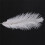 60 Pieces White Natural Ostrich Feather 20-25cm Wedding DIY 8