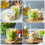 3Pcs Clear Glass Fruit Salad Bowls for Home Tableware and Snacks 3
