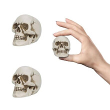 Crâne en Résine (Lot de 2), -Crâne Décoratif, Statue de Crâne, Modèle de Crâne Humain pour Bureau
