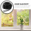 Window Seals Sealing Strip Black 1pack 4