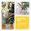 6 Sets Root Control Pots Clear Net Orchid Nursery 5