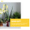 6 Sets Root Control Pots Clear Net Orchid Nursery 6
