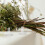 Raindrops Floral Decoration Stand Clear Round Plastic 30pack 8