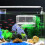 Transparante Plastic Aquarium Met Nylon Scheidingsnet 3