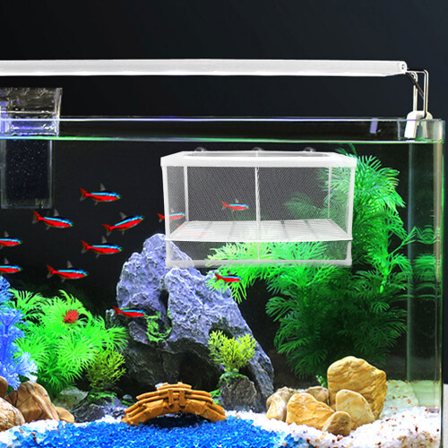 Transparante Plastic Aquarium Met Nylon Scheidingsnet 2