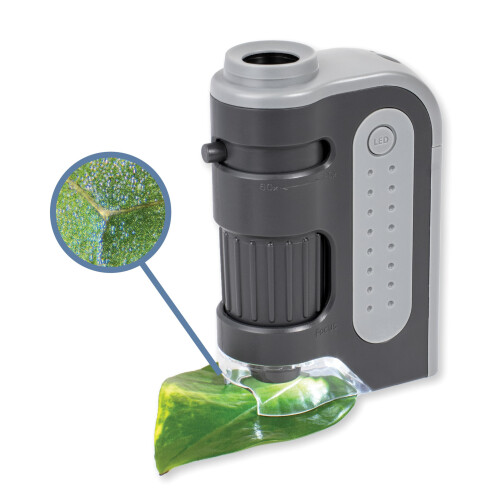 Carson MM-300 MicroBrite Plus 60 -120x LED Lighted Pocket Microscope,