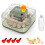 MYPIN 12-Egg Fully Automatic Incubator with Auto-Turning, Humidity & 1
