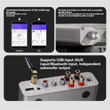 Sienwiny Carte D'Amplificateur de Puissance YS-HM5 2 X 220 W, Module D'Amplificateur Audio Numérique 5.4 pour KTV, Prise UE