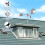 Bird Reflective for  Deterrent Devices for Outside Keep Birds Away for  for  Deterrent 5