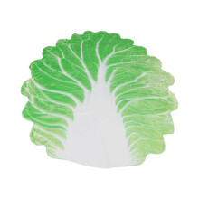 Soft Cabbage Blanket Funny Novelty Blanket 150x150cm