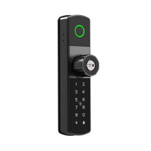 Serrure de Porte Intelligente TT-Lock avec Application Biométrique, Empreinte Digitale, Carte NFC, Mot de Passe et Déverrouillage par Clé. Aucun