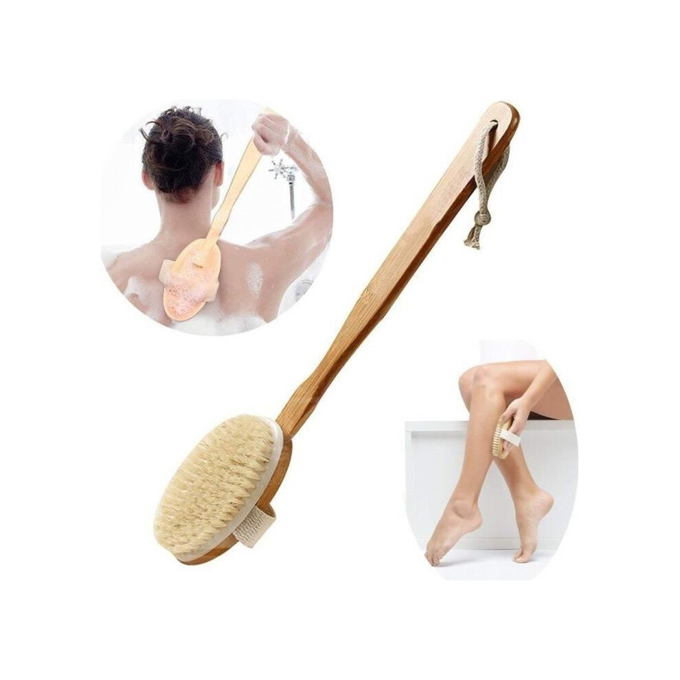 Natural Boar Bristle Body and Bath Brush with Long Handle for Deep Cleansing, Exfoliation and Skin Massage