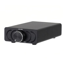 Digitale Eindversterkerkaart Mono 600W Hi-Fi Versterker TPA3255 Versterkermodule