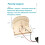 Amperemeter Model Kids Science Funny Technology Physics Kit Educational Toys for Children Learning 7