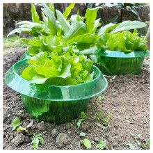 20Pcs Plant Snail Guard Rings Vegetable Protective Covers Plant Snail-Repellent Sleeves Green Flowerpot Insect Barriers
