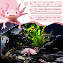 2 Amache per Axolotl, Drago Barbuto e Lucertola con Grandi Ventose e Corda, In Rete Traspirante e Antiruggine.