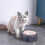 Pet Buoyancy Drinking Bowl 4