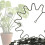 5PCS Shrub Support,Freely Adjustable Circular Shrub Support - Ideal for Supporting Hydrangeas and Other Flowering Shrubs 4