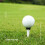 8 Pcs/Bag 79/45mm  Tees Plastic Adjustable Tees Reduces Friction Side Spin Step Down Tees  Accessories 8