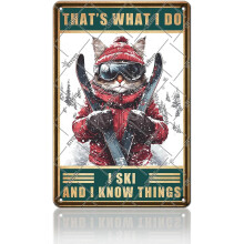 (Ski Metal Sign, 12x16 Inch(40x30CM)) Lustiges Zimmerregeln Schild - Teen Mädchen Regeln Wanddeko, Mädchenzimmer Tür