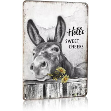 (Hello Sweet Cheeks, -) Lustiges Esel Aluminium Schild, 20x30cm "Nice Ass" rustikale Wanddeko, Bauernhaus Bad