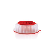 Tupperware Moldes Gelatinosos, Apto Lavavajillas y Sin BPA (1.3 L)
