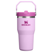 STANLEY IceFlow 2.0 Flip Straw Tumbler mit Griff 20 oz | Drehdeckel und Klappstrohhalm