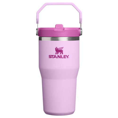 STANLEY STANLEY IceFlow 2.0 Tazza con Beccuccio Flip 20 oz | Coperchio a Vite e Cannuccia