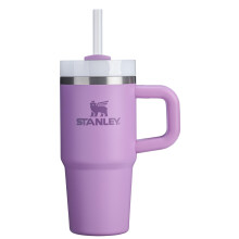 Stanley Quencher H2.0 Tumbler met Handvat en Rietje 14 oz | Flowstate 3-Positie Deksel | Reisvriendelijk