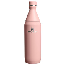 Bouteille Slim Stanley 20 oz | Couvercle à vis étanche | Design mince pour voyage et sport | Acier inoxydable isolé | Sans BPA | Pêche Rosé