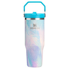 STANLEY IceFlow 2.0 Flip Straw Tumbler with Handle 30 oz | Twist On Lid and Flip Up Straw | Leakproof Water Bottle | Insulated Stainless Steel | BPA-F