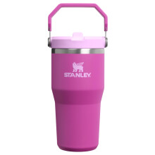 STANLEY IceFlow 2.0 Flip Straw Tumbler with Handle 20 oz | Twist On Lid and Flip Up Straw | Leakproof Water Bottle | Insulated Stainless Steel | BPA-F
