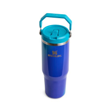 STANLEY IceFlow 2.0 Flip Straw Tumbler mit Griff 30 oz | Drehdeckel und Klappstrohhalm | Auslaufsichere Trinkflasche