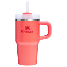 Stanley Quencher H2.0 Tumbler met Handvat en Rietje 20 oz | Flowstate 3-Positie Deksel