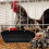 2Pièces Accrochable Poulet Simple 8